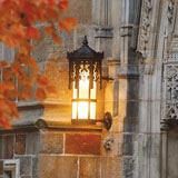 Photo of lamp.